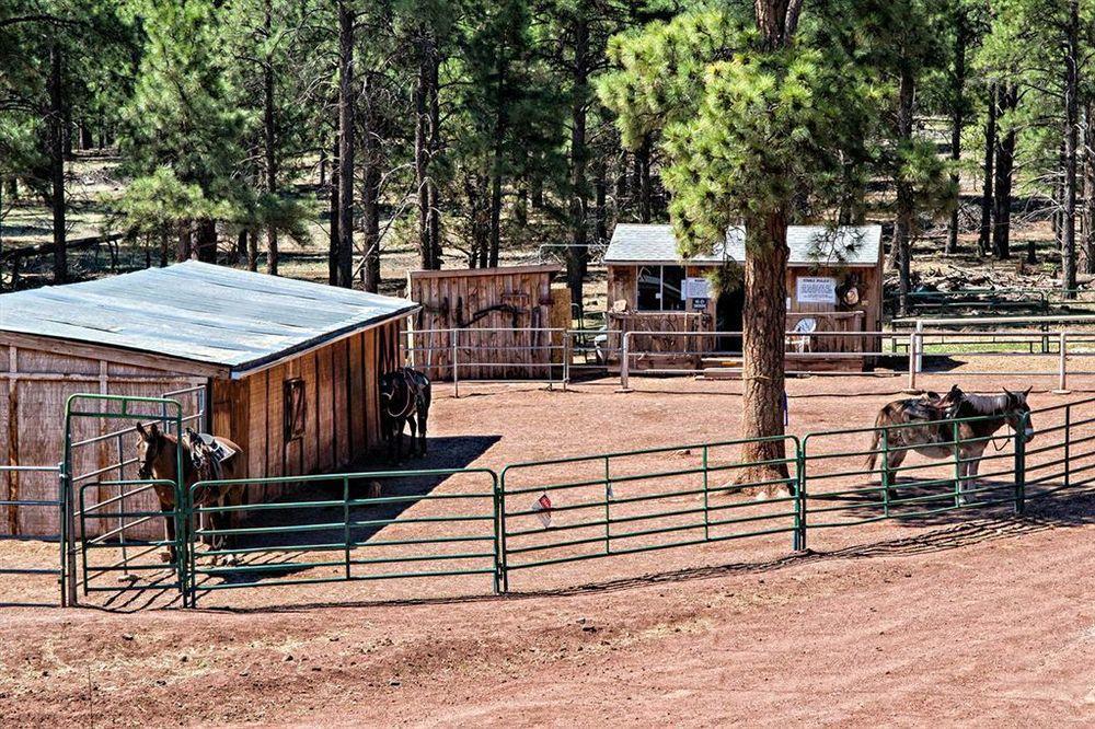 Mountain Ranch Resort At Beacon Hill Williams Luaran gambar