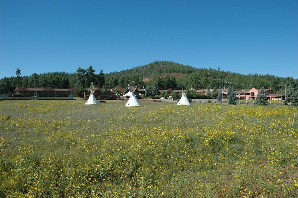 Mountain Ranch Resort At Beacon Hill Williams Luaran gambar